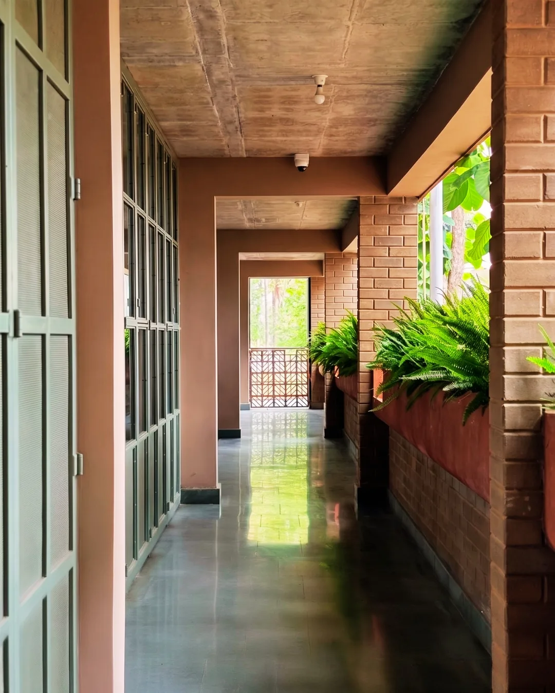 A corridor lined with ferns in earth-block planters, beside full-height joinery